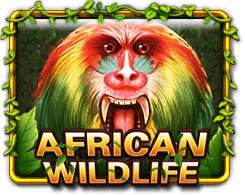 Xe88-malaysia_Win_slot_game_african-wildlife