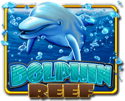 dolphin