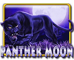 Xe88-malaysia_bonus_slot_game_panther-moon